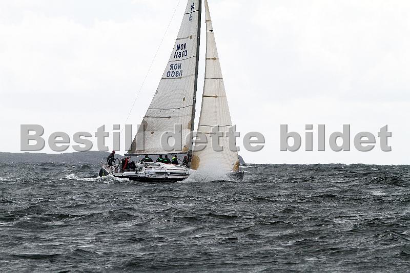 ORCi 211.jpg